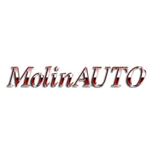 Logo Molinauto
